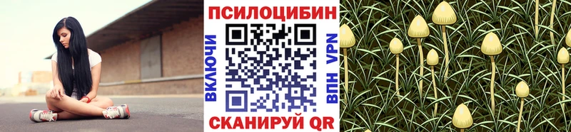 Псилоцибиновые грибы MAGIC MUSHROOMS  Новотитаровская 